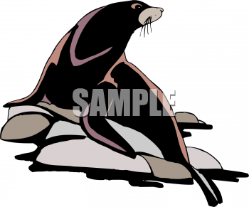 Aquatic Animals Clipart