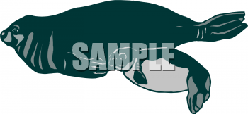Fish and Sealife Clipart