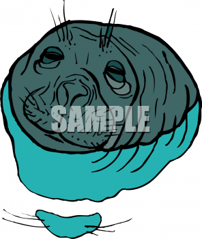 Aquatic Animals Clipart