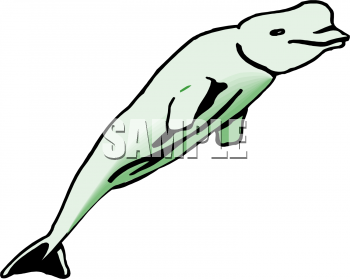 Aquatic Animals Clipart