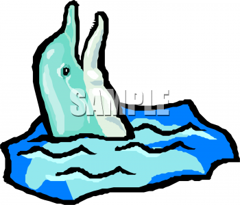 Aquatic Animals Clipart