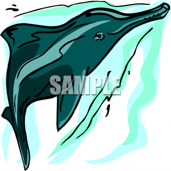 Aquatic Animals Clipart