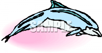Aquatic Animals Clipart
