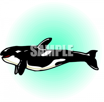 Fish and Sea Life Clipart