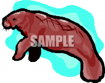 Aquatic Animals Clipart