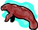 Farm Animal Clipart