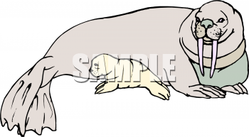 Aquatic Animals Clipart