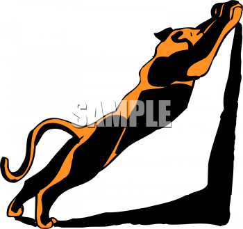 Pet Clipart