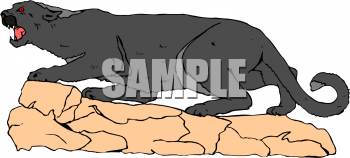 Pet Clipart