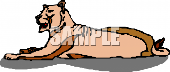 Big Cat Clipart