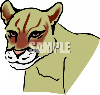 Pet Clipart