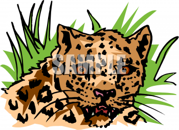 Pet Clipart