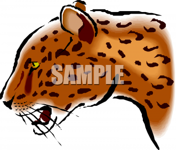 Big Cat Clipart