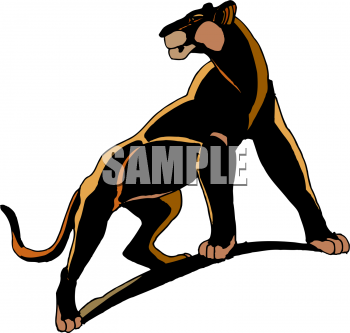Big Cat Clipart