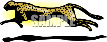 Pet Clipart