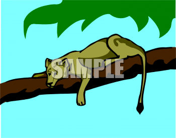 Big Cat Clipart