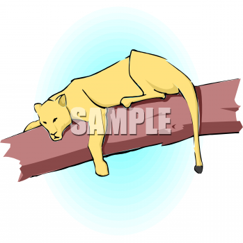 Big Cat Clipart