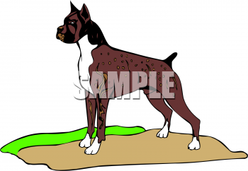 Dog Clipart