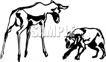 Pet Clipart