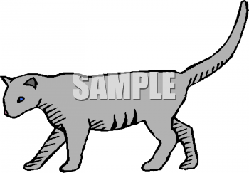Pet Clipart