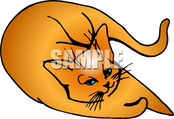 Pet Clipart