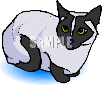 Pet Clipart