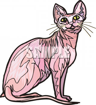 Pet Clipart