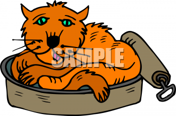 Pet Clipart