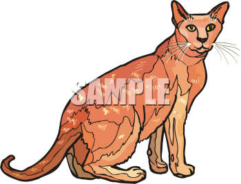 Pet Clipart