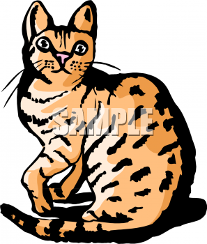 Pet Clipart