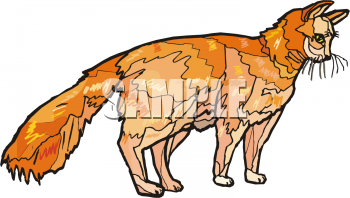Pet Clipart