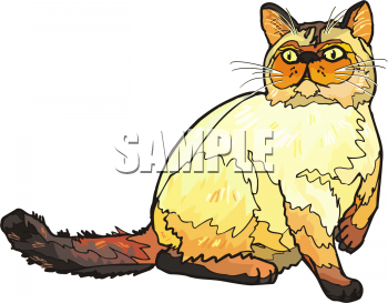Pet Clipart