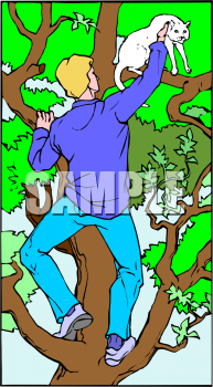 Pet Clipart