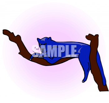 Pet Clipart