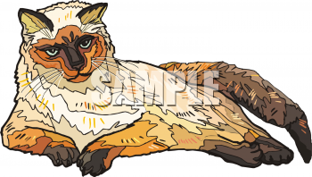 Pet Clipart