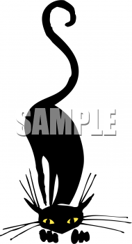 Pet Clipart