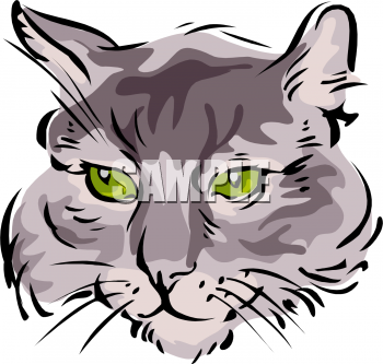 Pet Clipart