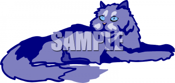 Pet Clipart