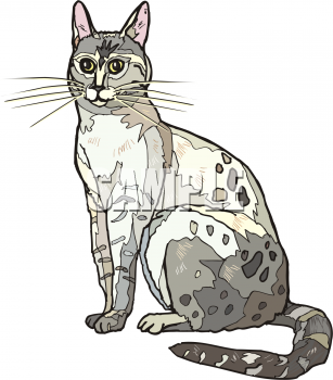 Pet Clipart