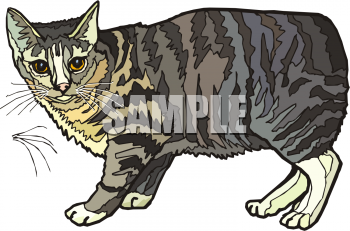 Pet Clipart