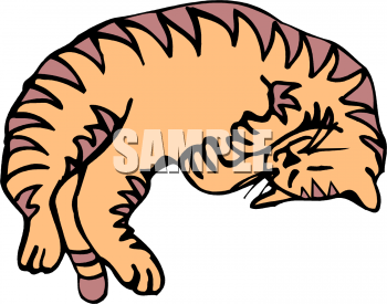 Pet Clipart