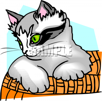 Pet Clipart
