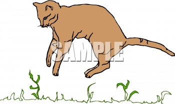 Pet Clipart