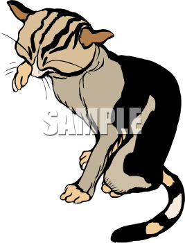 Pet Clipart