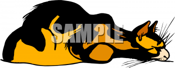 Pet Clipart