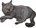 Pet Clipart