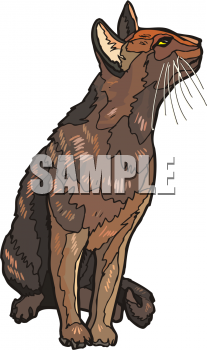 Pet Clipart