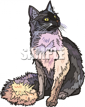 Pet Clipart
