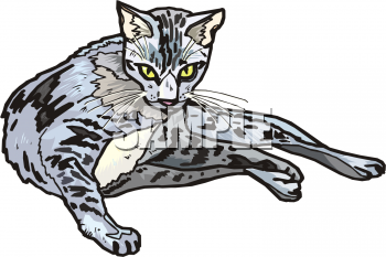 Pet Clipart