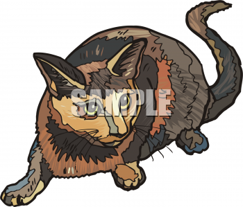 Pet Clipart